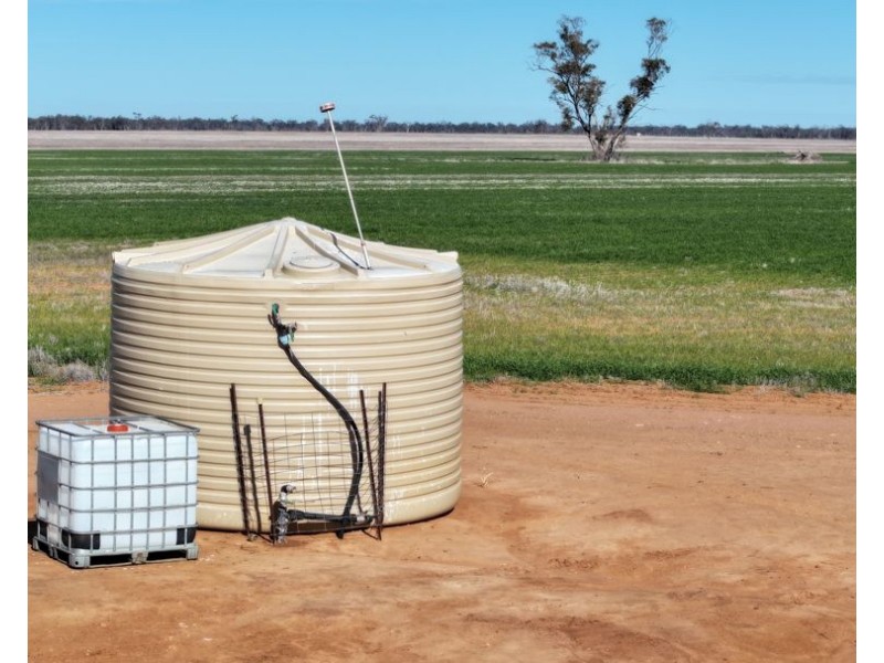 Homedale, Garah NSW 2405