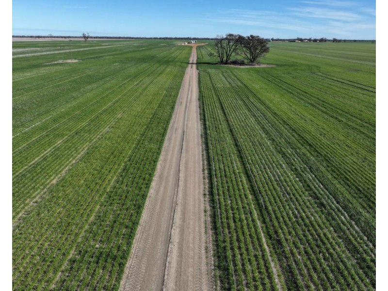 Homedale, Garah NSW 2405