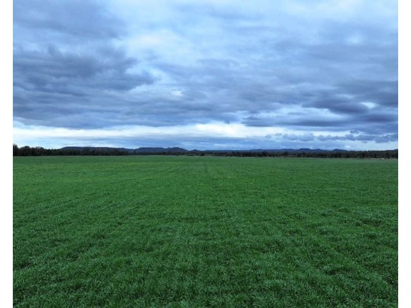 Curragada, Terry Hie Hie NSW 2400