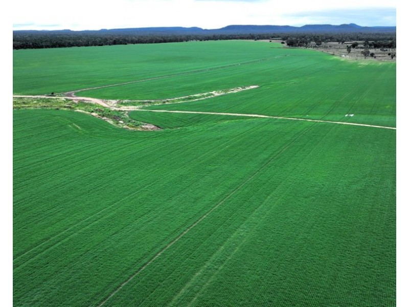 Curragada, Terry Hie Hie NSW 2400