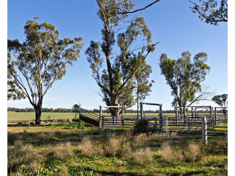 Curragada, Terry Hie Hie NSW 2400