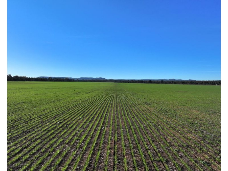 Curragada, Terry Hie Hie NSW 2400