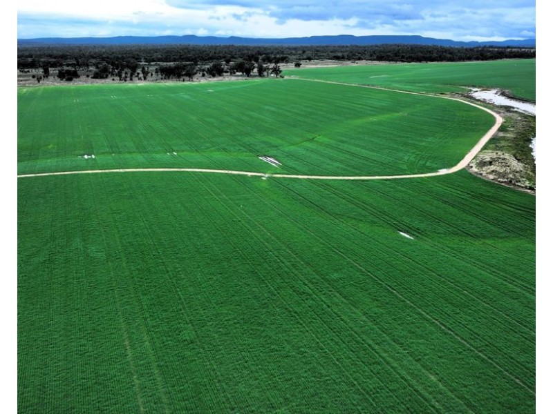 Curragada, Terry Hie Hie NSW 2400