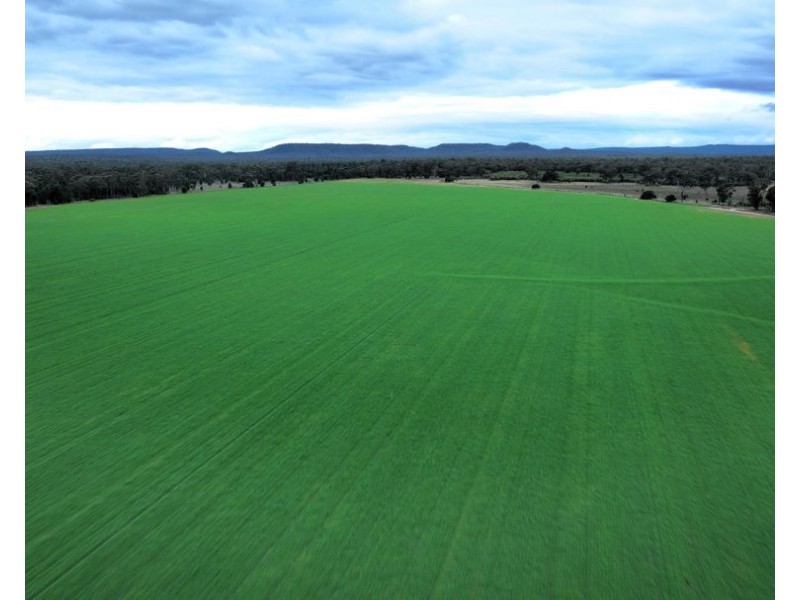 Curragada, Terry Hie Hie NSW 2400