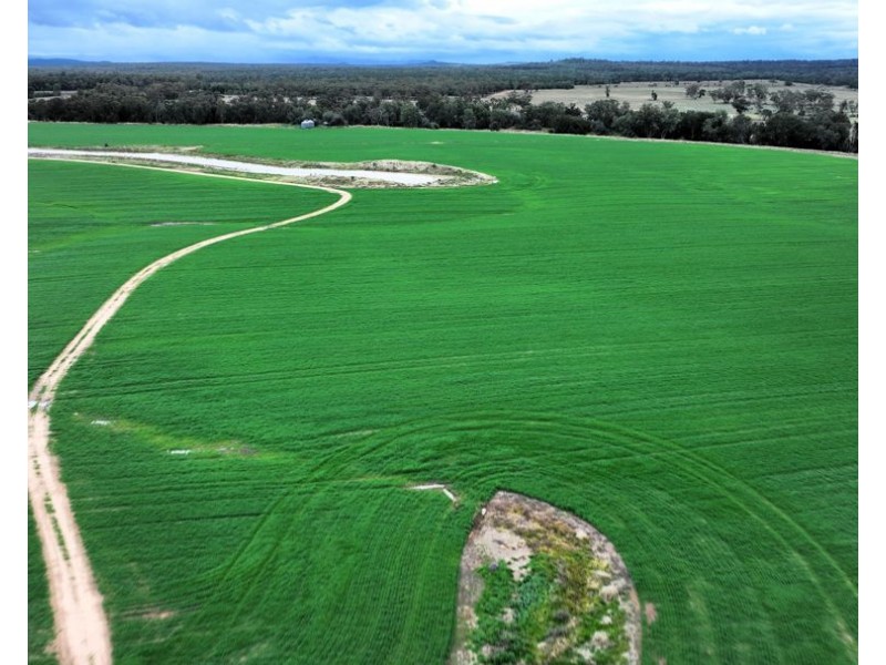 Curragada, Terry Hie Hie NSW 2400
