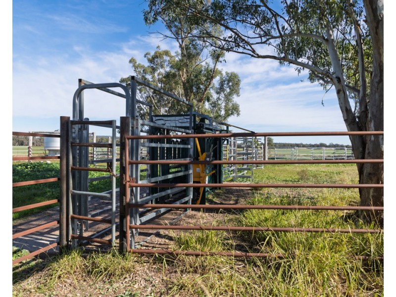 Curragada, Terry Hie Hie NSW 2400