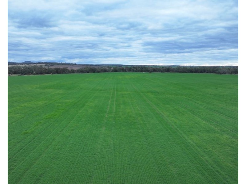 Curragada, Terry Hie Hie NSW 2400