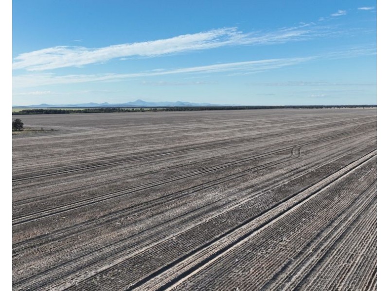 Wattle Glen & Burrenbah, Gurley NSW 2398