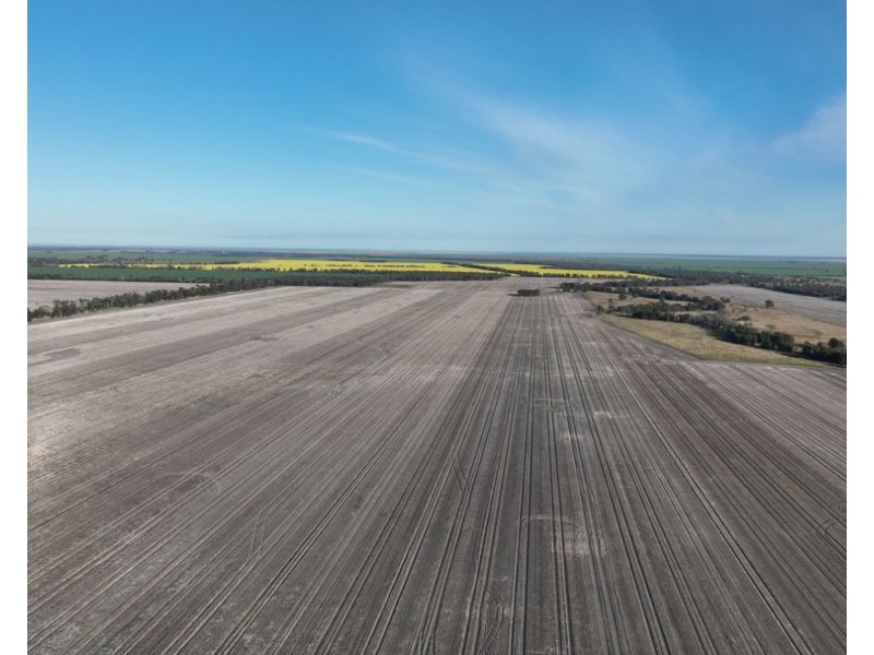 Wattle Glen & Burrenbah, Gurley NSW 2398