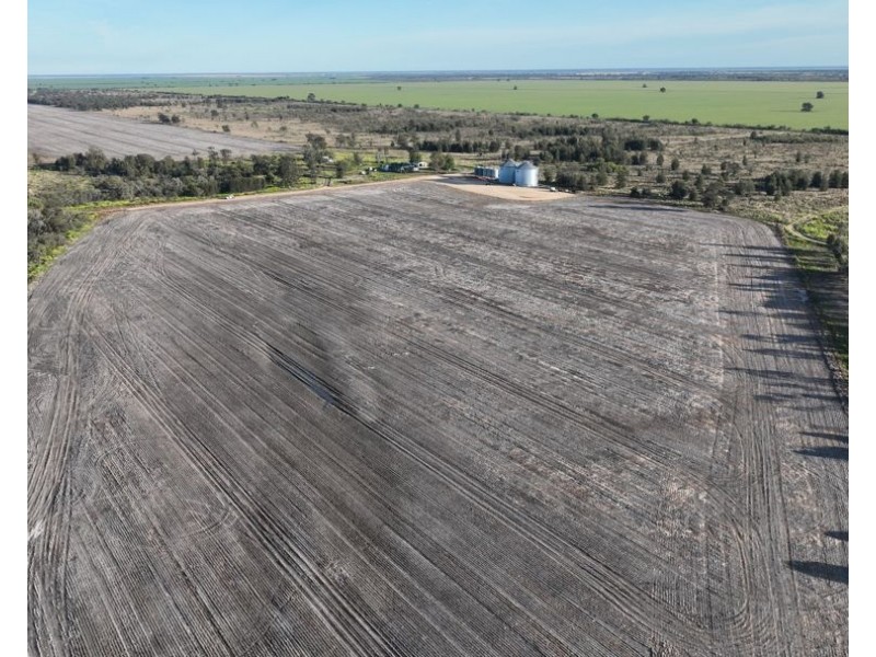 Wattle Glen & Burrenbah, Gurley NSW 2398