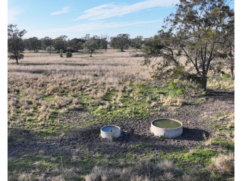 Wattle Glen & Burrenbah, Gurley NSW 2398