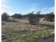 Wattle Glen & Burrenbah, Gurley NSW 2398