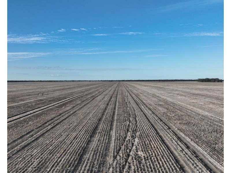 Wattle Glen & Burrenbah, Gurley NSW 2398