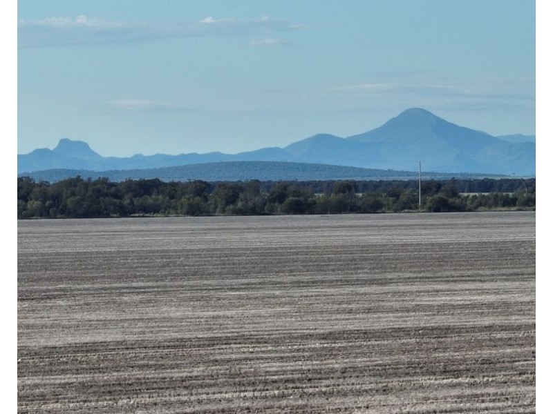 Wattle Glen & Burrenbah, Gurley NSW 2398