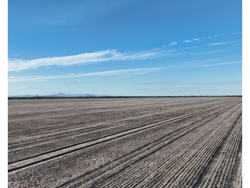 Wattle Glen & Burrenbah, Gurley NSW 2398