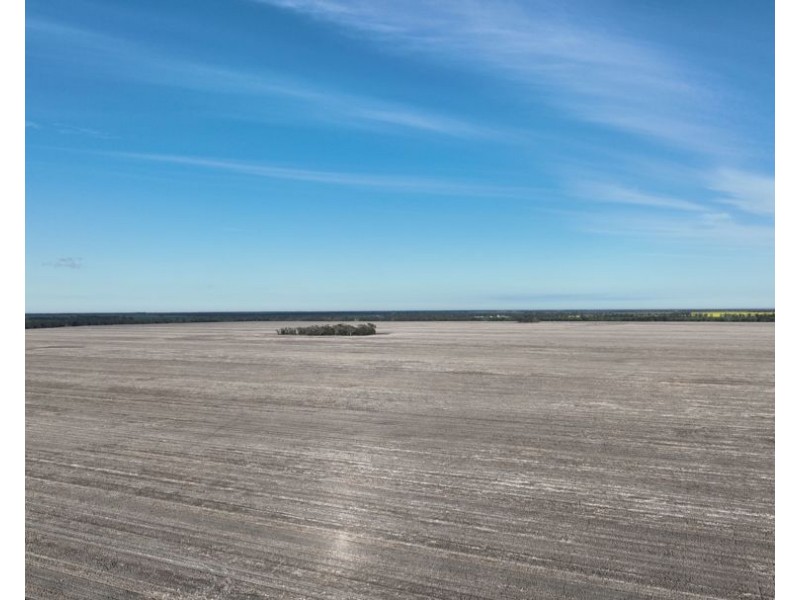 Wattle Glen & Burrenbah, Gurley NSW 2398