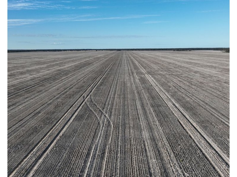 Wattle Glen & Burrenbah, Gurley NSW 2398