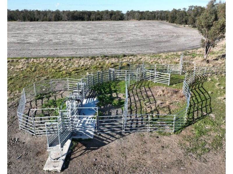 Wattle Glen & Burrenbah, Gurley NSW 2398