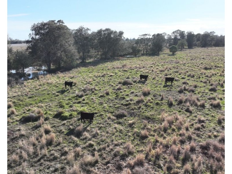 Wattle Glen & Burrenbah, Gurley NSW 2398