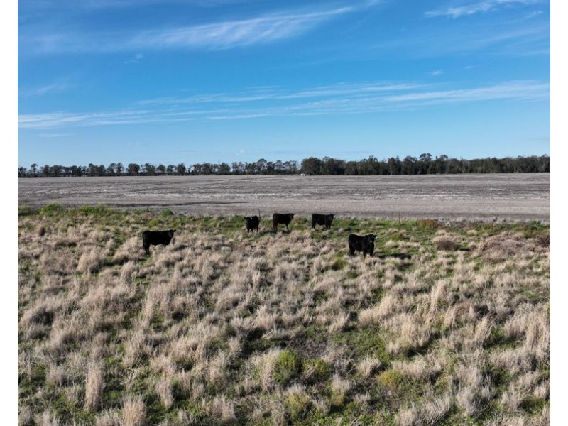 Wattle Glen & Burrenbah, Gurley NSW 2398