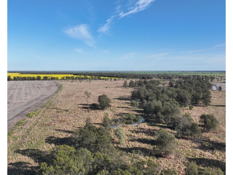Wattle Glen & Burrenbah, Gurley NSW 2398