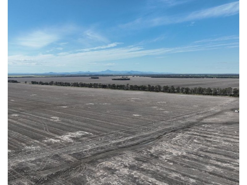 Wattle Glen & Burrenbah, Gurley NSW 2398