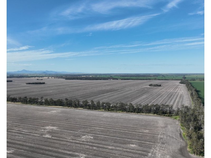 Wattle Glen & Burrenbah, Gurley NSW 2398