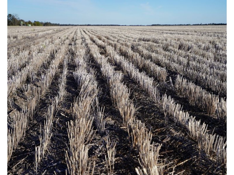 Wattle Glen & Burrenbah, Gurley NSW 2398