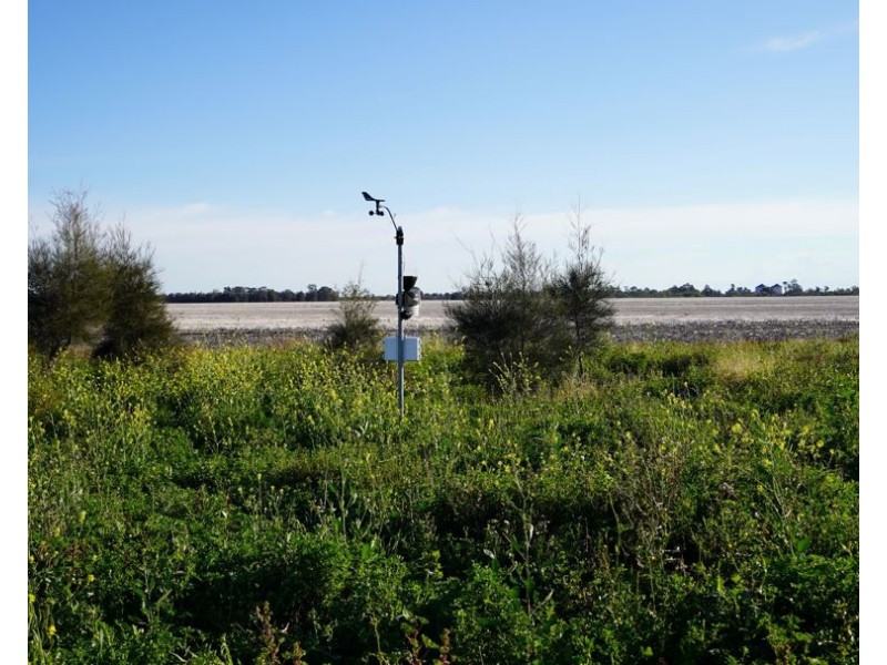 Wattle Glen & Burrenbah, Gurley NSW 2398