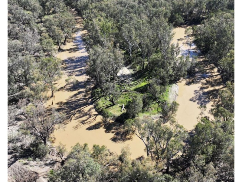 Rosewood, Collarenebri NSW 2833