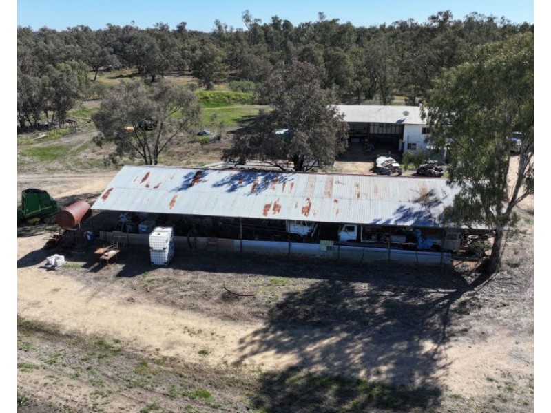 Rosewood, Collarenebri NSW 2833