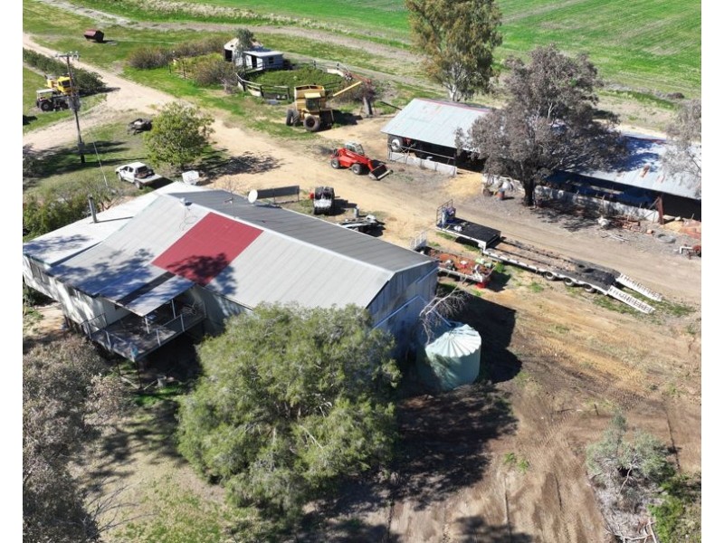 Rosewood, Collarenebri NSW 2833