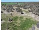 Rosewood, Collarenebri NSW 2833