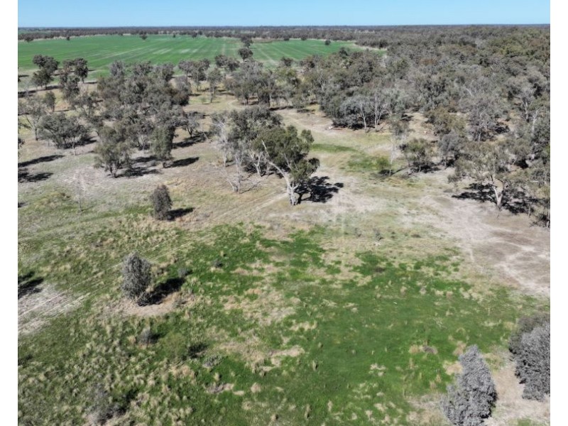 Rosewood, Collarenebri NSW 2833