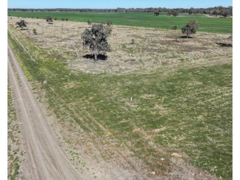 Rosewood, Collarenebri NSW 2833