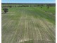 Rosewood, Collarenebri NSW 2833
