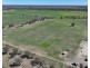 Rosewood, Collarenebri NSW 2833
