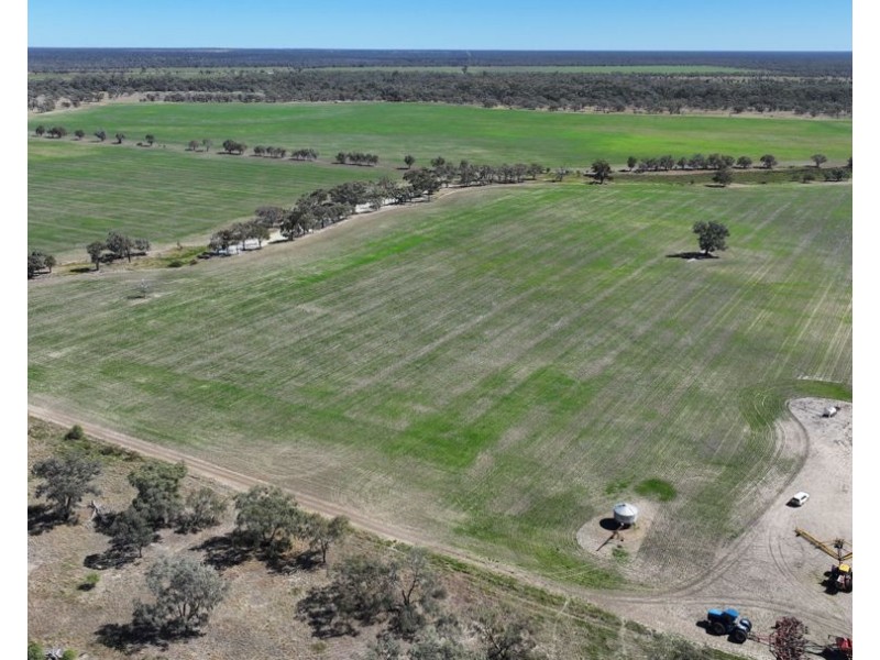 Rosewood, Collarenebri NSW 2833