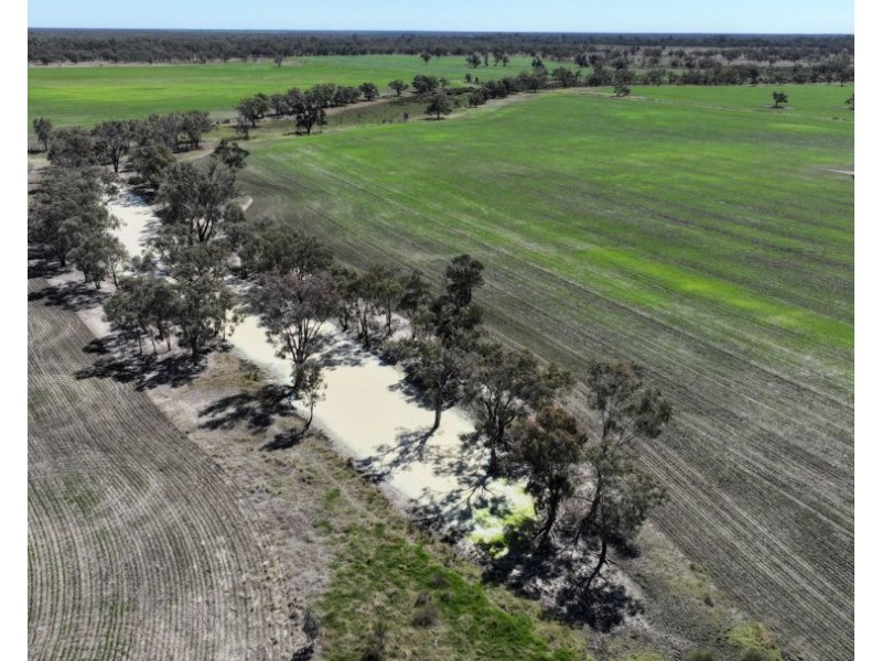 Rosewood, Collarenebri NSW 2833