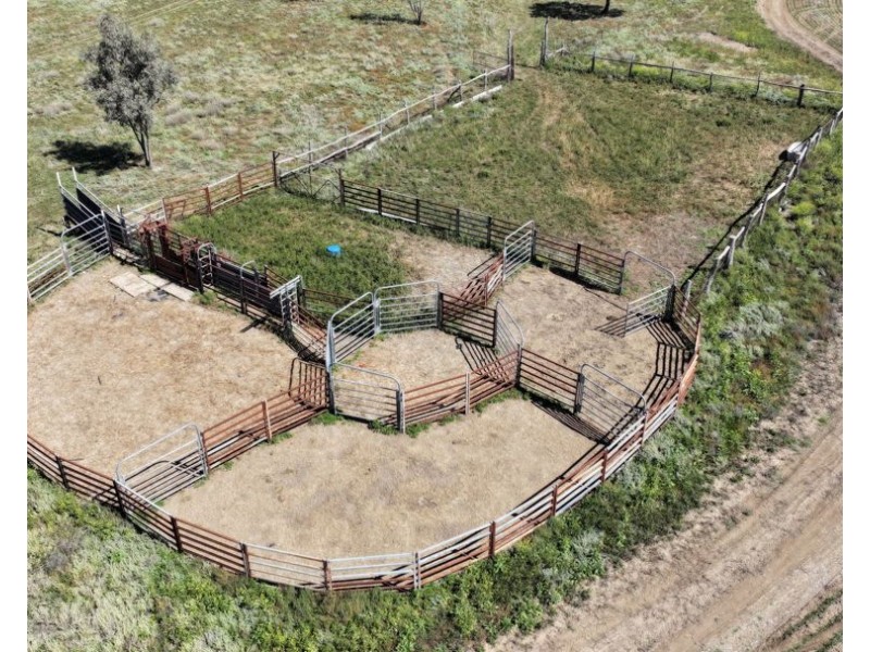 Rosewood, Collarenebri NSW 2833