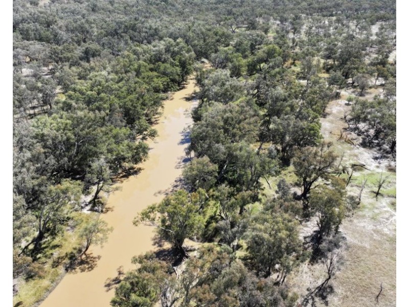 Rosewood, Collarenebri NSW 2833