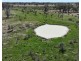 Rosewood, Collarenebri NSW 2833
