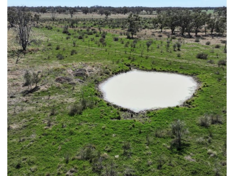 Rosewood, Collarenebri NSW 2833