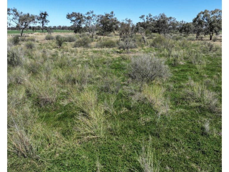 Rosewood, Collarenebri NSW 2833