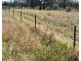 Rosewood, Collarenebri NSW 2833