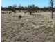 Rosewood, Collarenebri NSW 2833