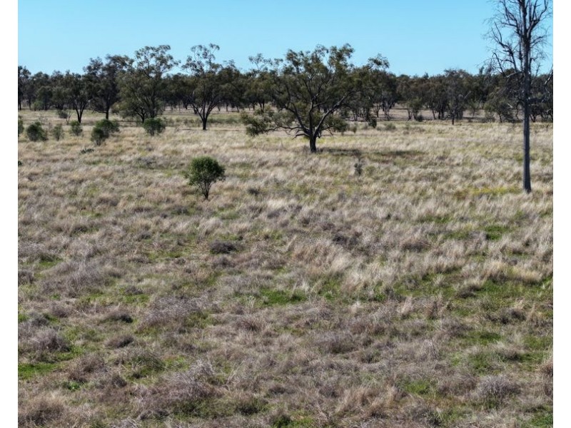 Rosewood, Collarenebri NSW 2833