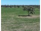 Rosewood, Collarenebri NSW 2833