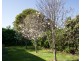 57 Tirzah Street., Moree NSW 2400