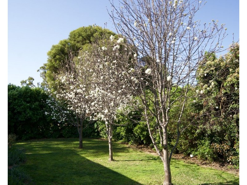 57 Tirzah Street., Moree NSW 2400